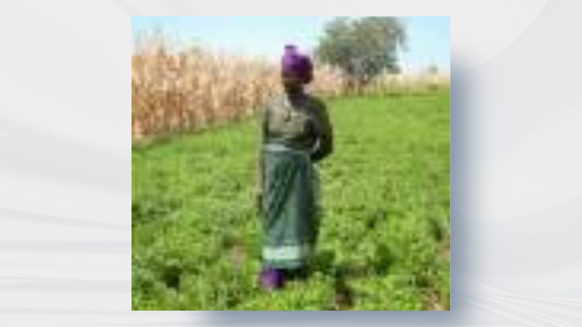 The Kulera Landscape REDD+ Program Completes Verification of Emission Reductions