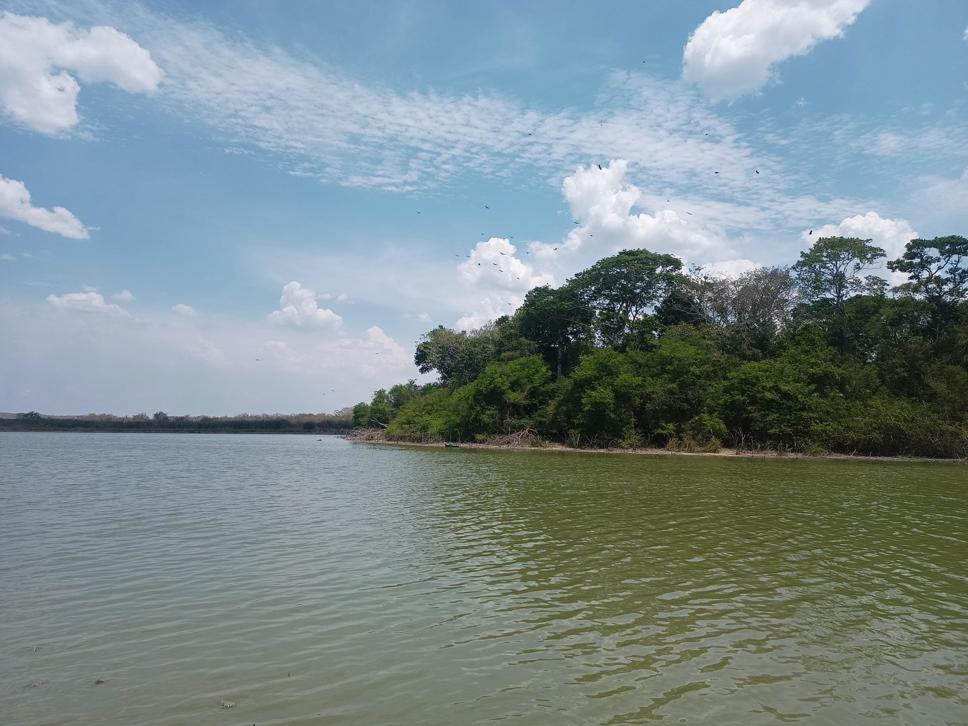 IMG_20240607_123726969