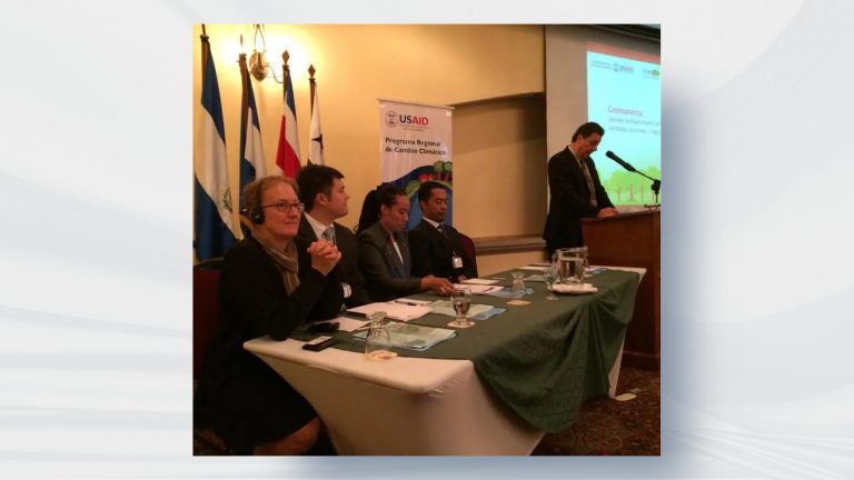 11 Governments Attend REDD+ Finance Workshops