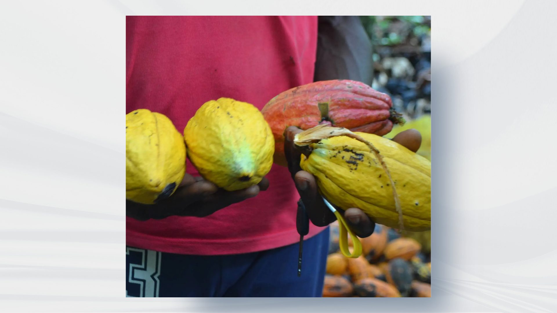 Congo’s ER-PD for the Carbon Fund Completes In-country Review with Terra’s Support