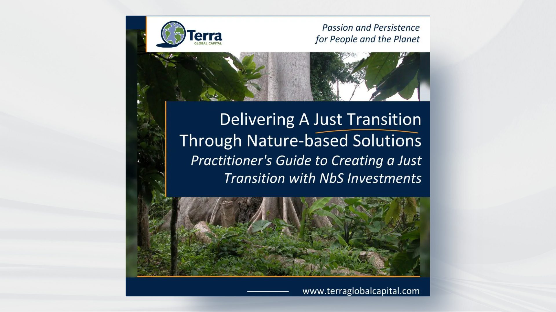 Delivering A Just Transition Through Nature-based Solutions: Practitioner’s Guide to Creating a Just Transition with NbS Investments
