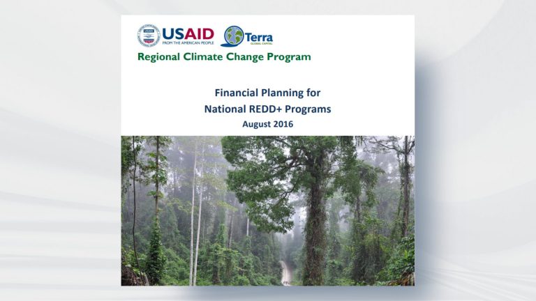 Financial Planning for National REDD+ Programs