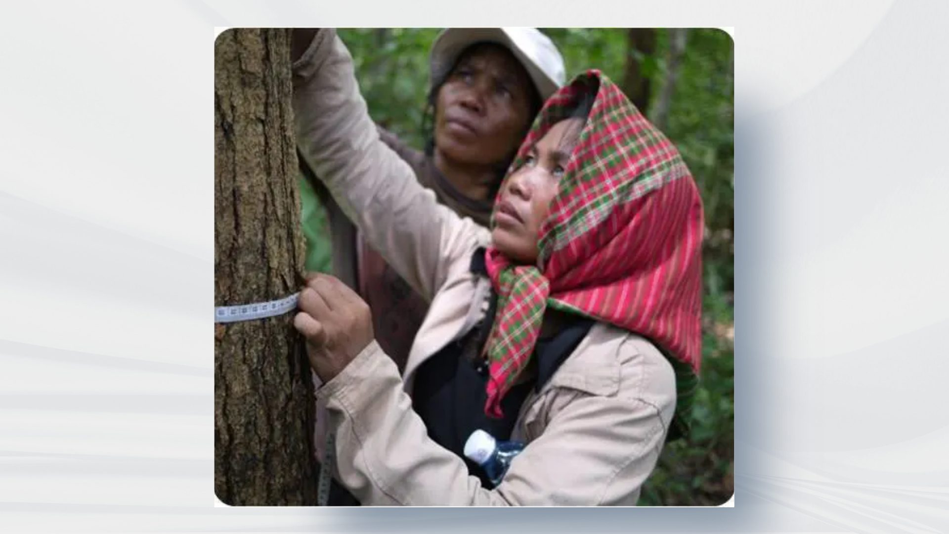 Oddar Meanchey REDD+ VCS PD