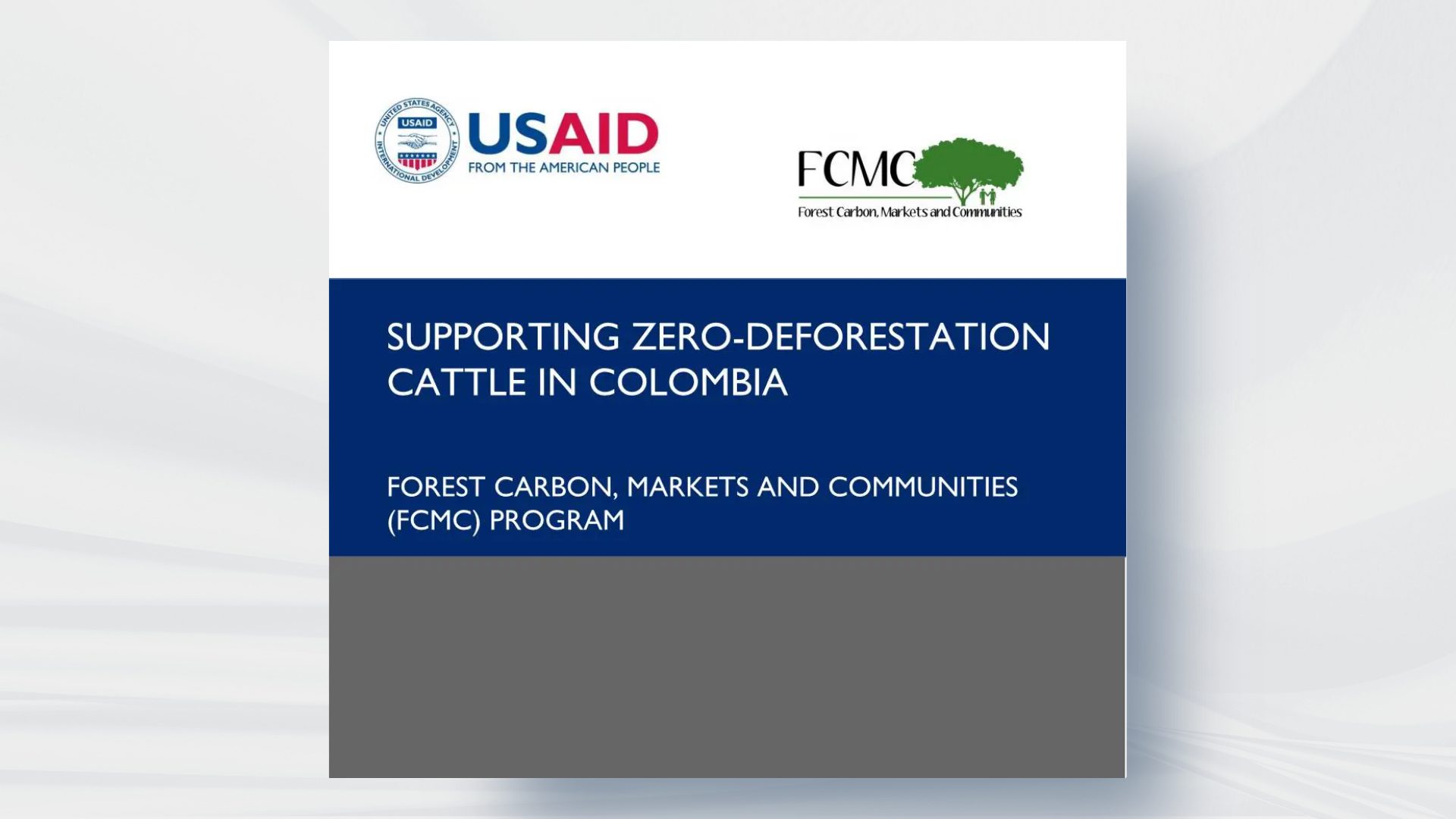 Supporting Zero-Deforestation Cattle in Colombia