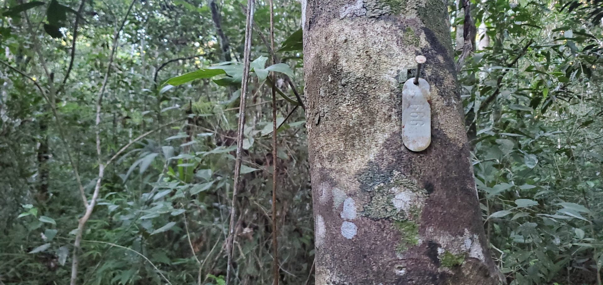 Beliza Laguna Seca Yalbec 1