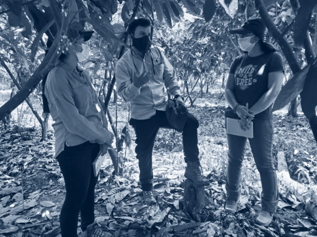 Criteria 1 Photo Blue