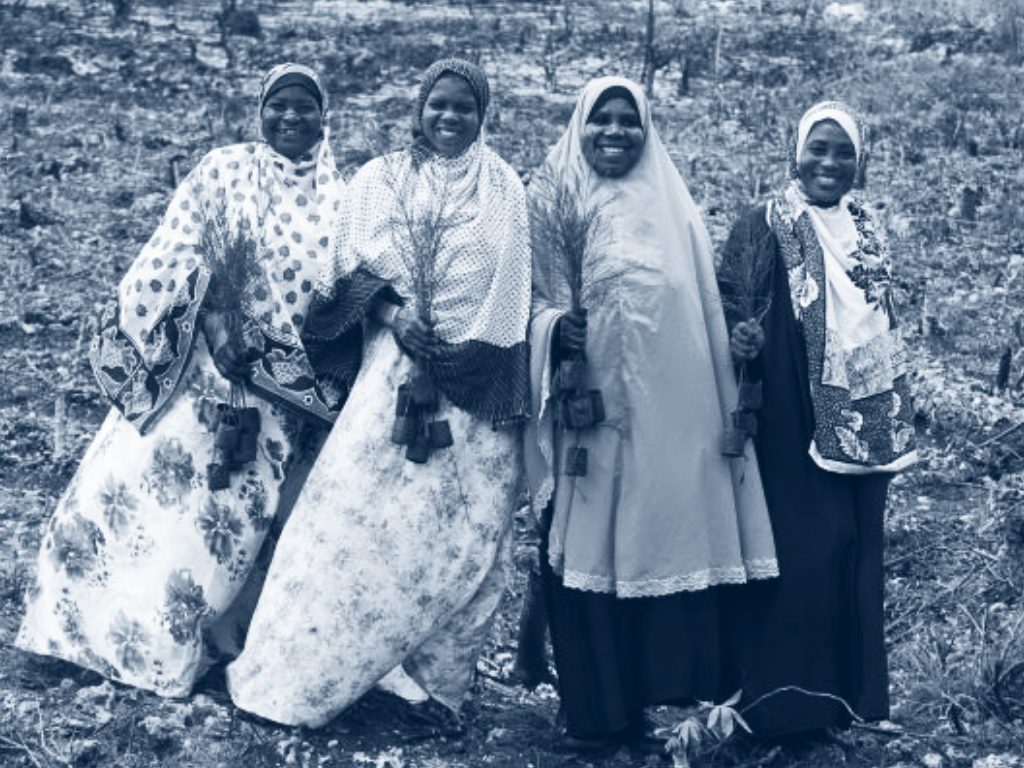 Criteria 3 Photo Blue