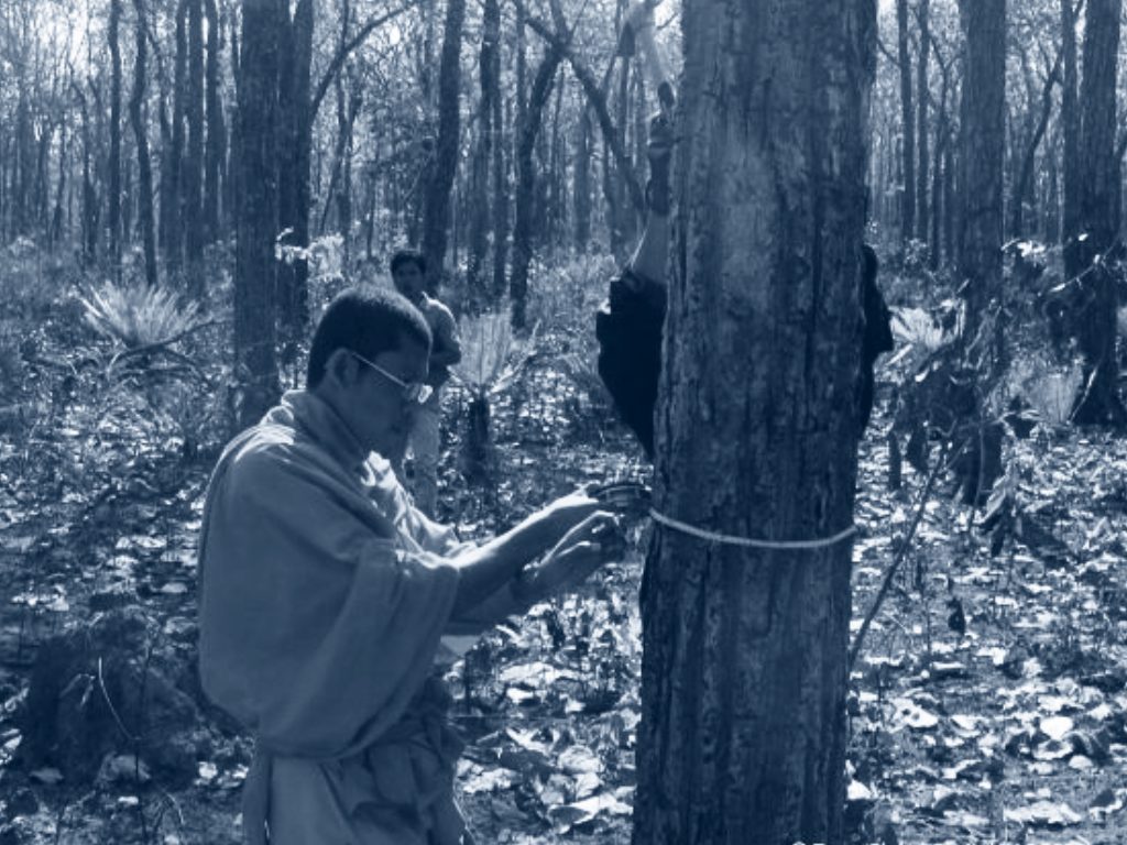 Criteria 5 Photo Blue