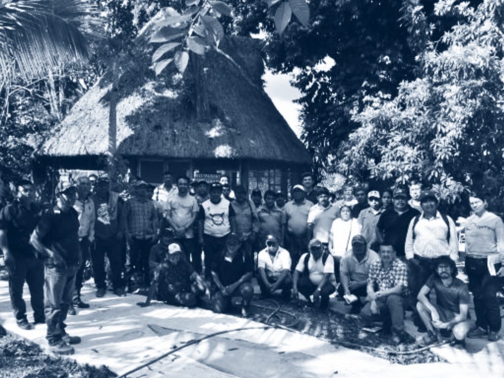 Criteria 7 Photo Blue