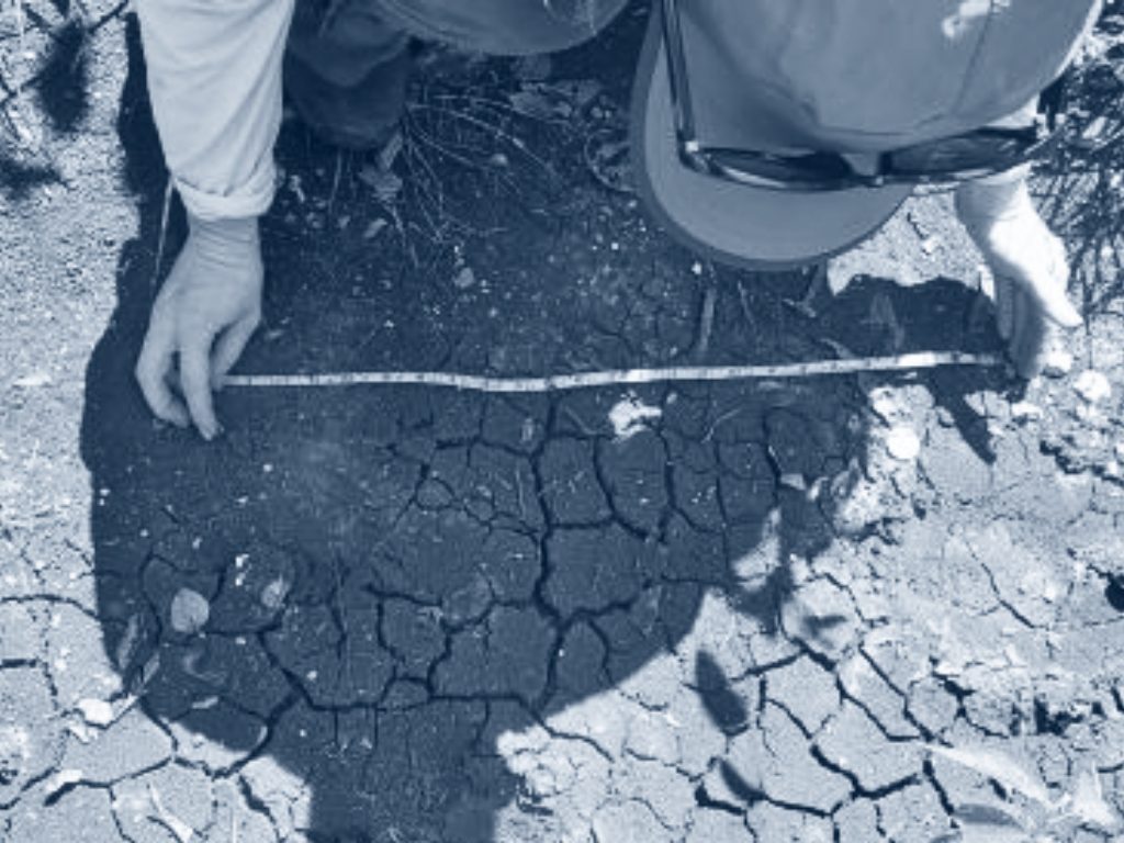 Criteria 9 Photo Blue