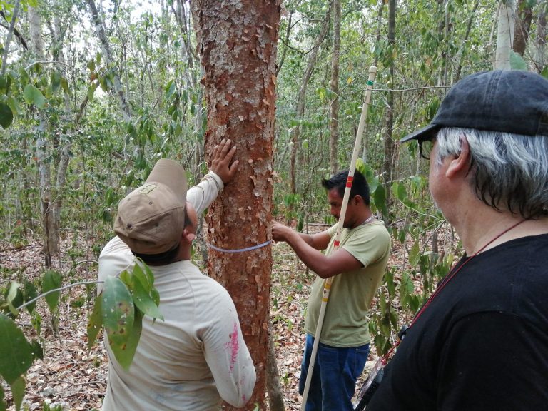 First Climate Mexico 14