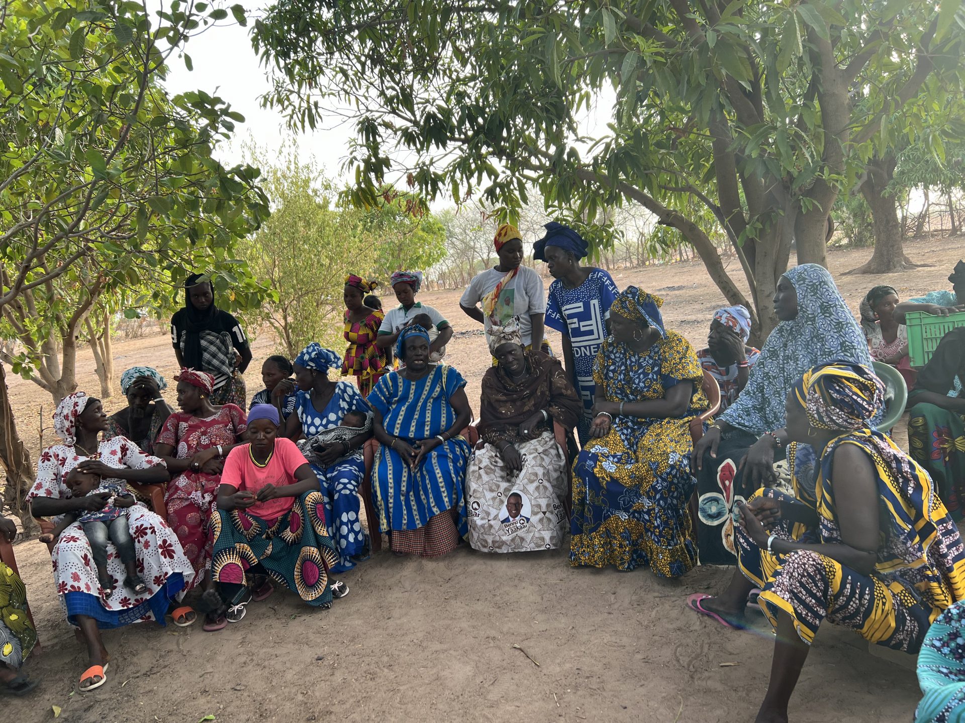 Mother Trees Senegal 4