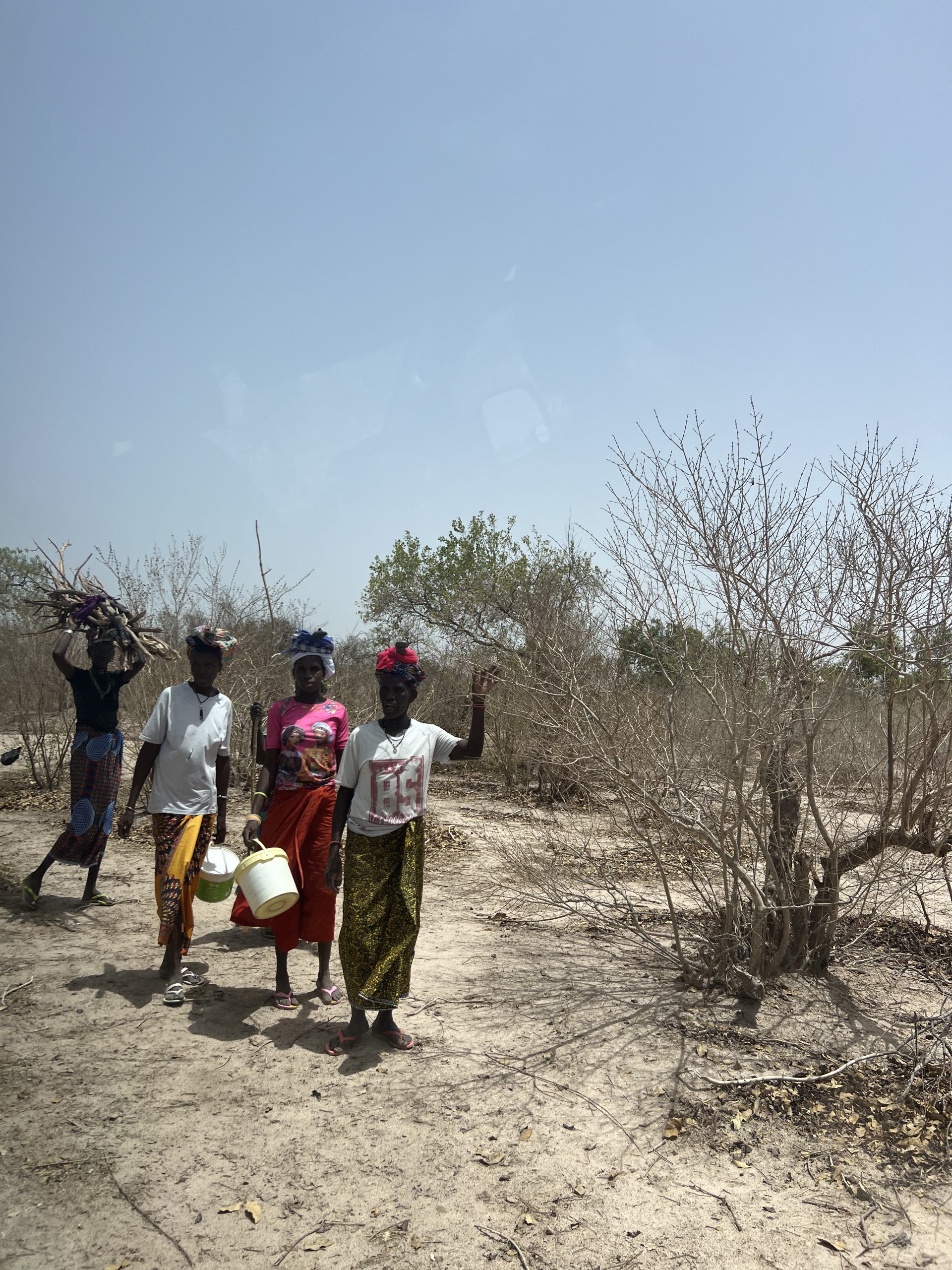 Mother Trees Senegal 6
