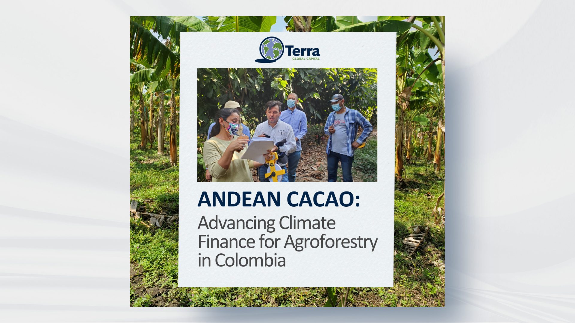 Andean Cacao: Advancing Climate Finance for Agroforestry in Colombia