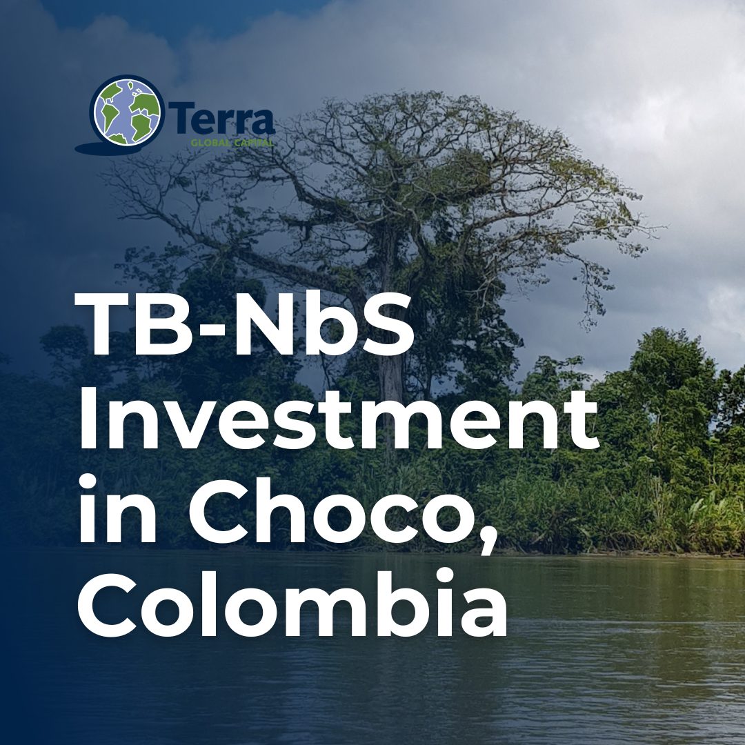TB-NbS Investment in Choco, Colombia (1)