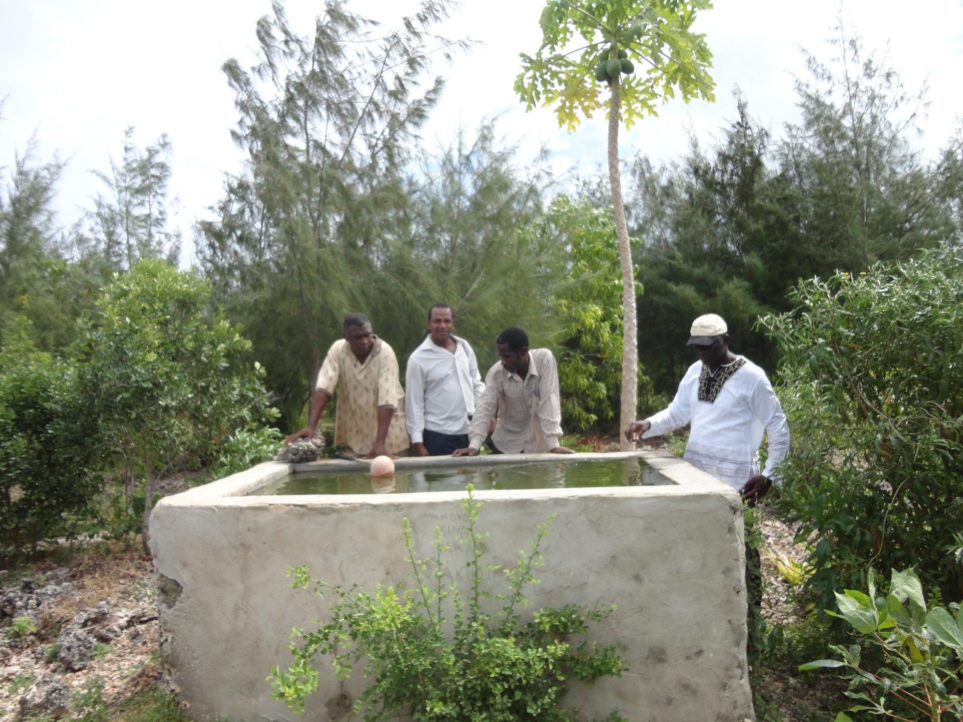 AGRO FOREST IN COMMUNITY FOREST