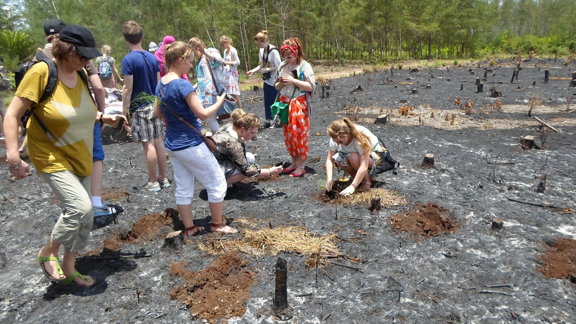 GUESTS PLANTING TREES