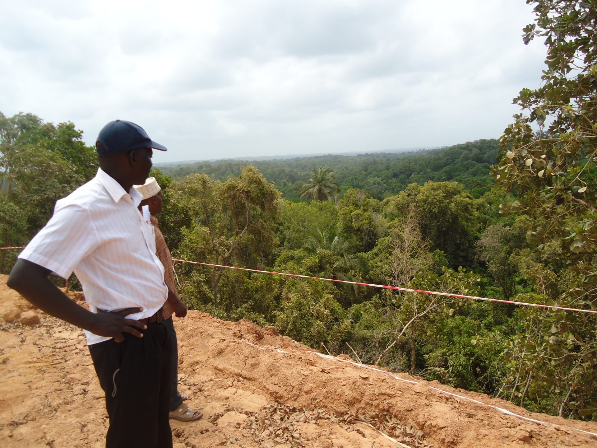 MTAMBWE FOREST PEMBA
