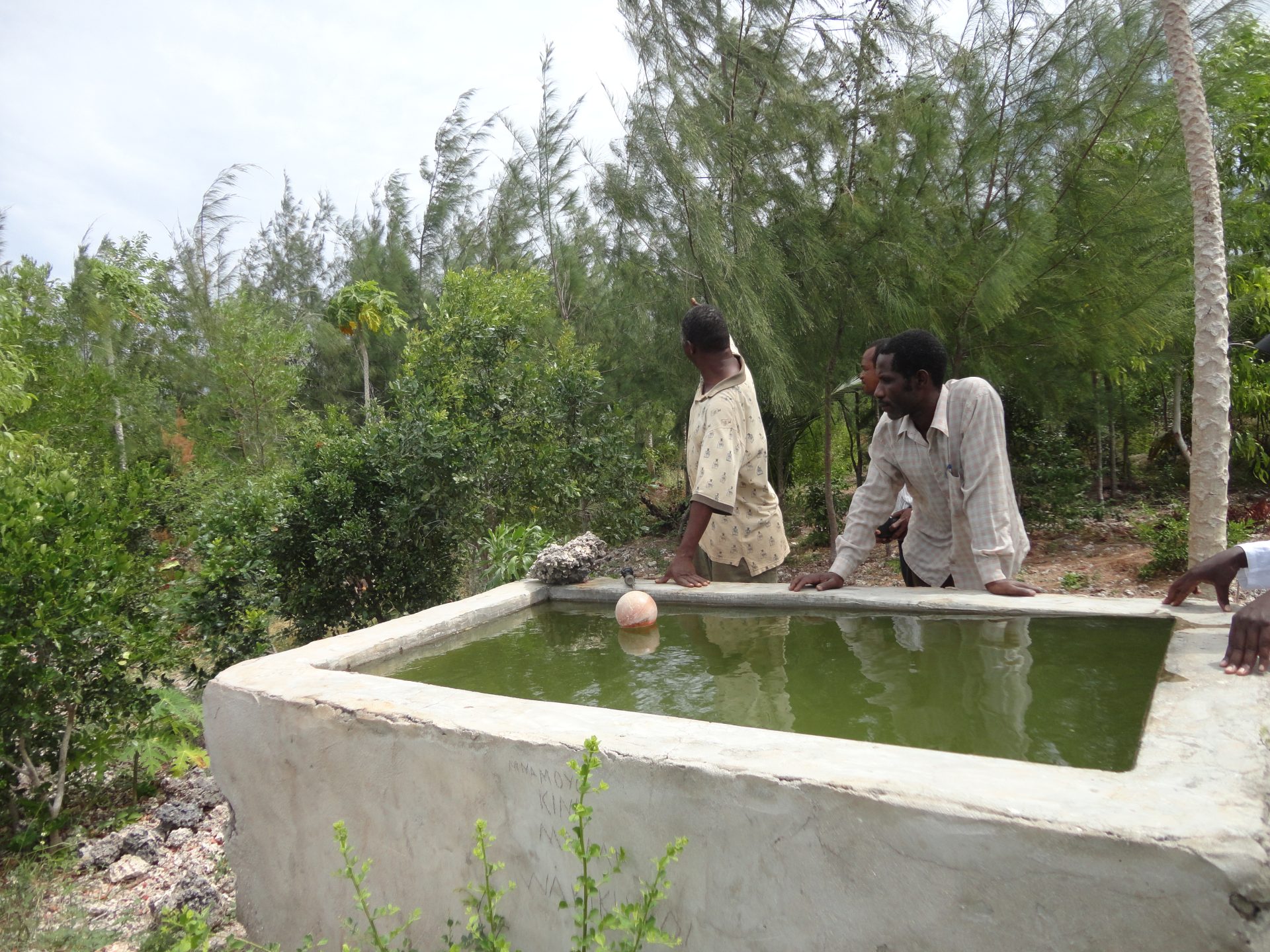 TANK FOR IRRIGATION AT FARM