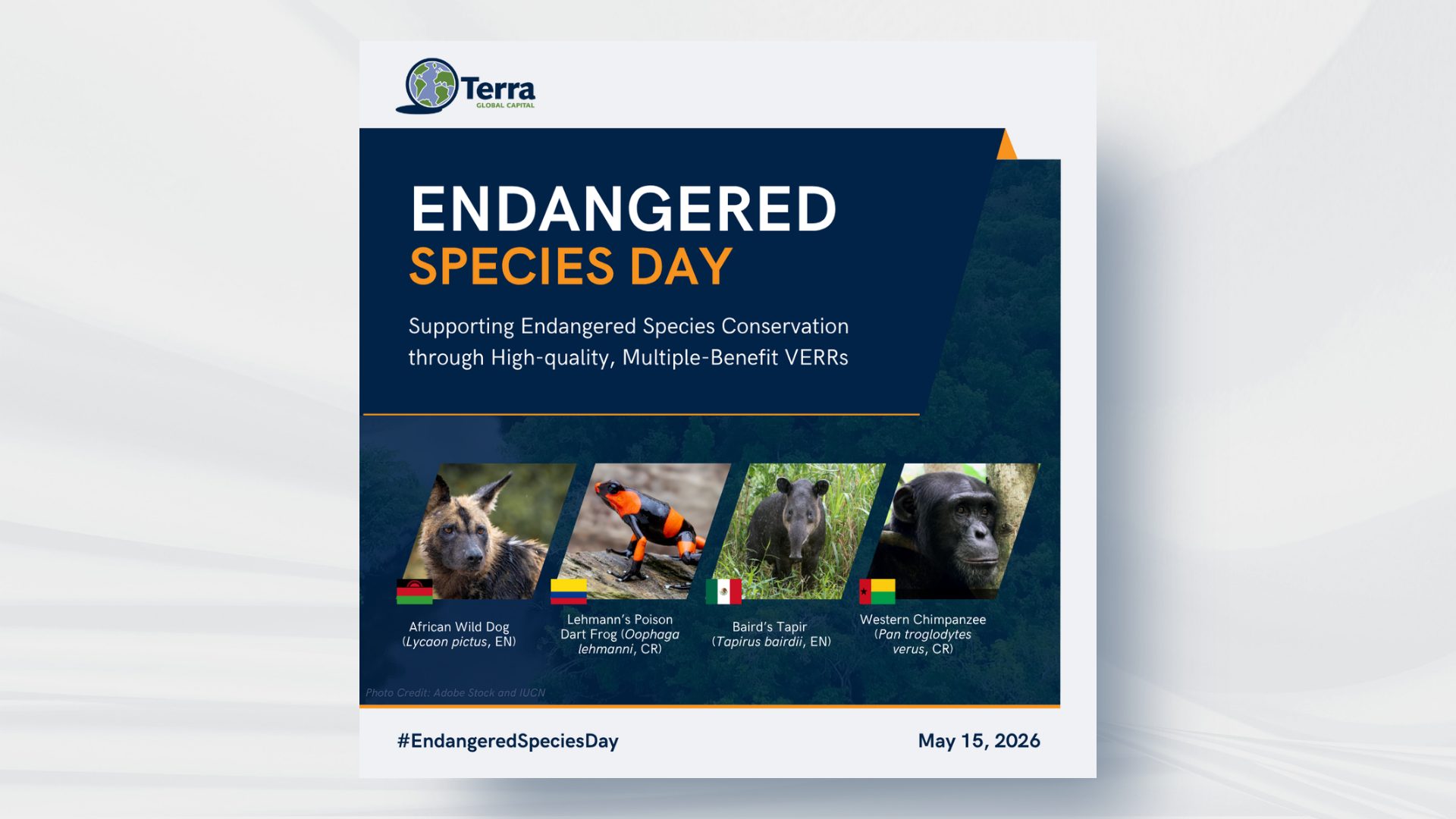 Endangered Species Day: Protecting Biodiversity Across Our Program Portfolio